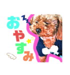 愉快なわんちゃんず（個別スタンプ：1）
