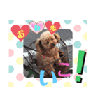 愉快なわんちゃんず（個別スタンプ：6）