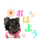 くぅぅぅたんスタンプ（個別スタンプ：1）