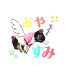 くぅぅぅたんスタンプ（個別スタンプ：4）