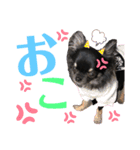 くぅぅぅたんスタンプ（個別スタンプ：8）
