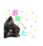 くぅぅぅたんスタンプ（個別スタンプ：10）
