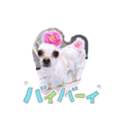chiuhauha Bro's（個別スタンプ：4）