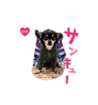 chiuhauha Bro's（個別スタンプ：5）
