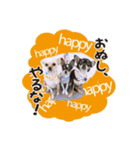 chiuhauha Bro's（個別スタンプ：6）