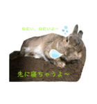ぼくはココアくんです。②（個別スタンプ：3）