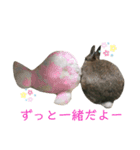 ぼくはココアくんです。②（個別スタンプ：8）