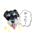 こぱんのスタンプだよ！（個別スタンプ：16）