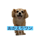 かわいいくうちゃんナンバー1（個別スタンプ：2）