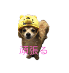 かわいいくうちゃんナンバー1（個別スタンプ：18）