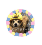 かわいいくうちゃんナンバー1（個別スタンプ：33）