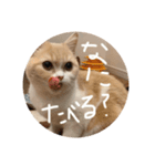 あい あむ は〜ちん2（個別スタンプ：8）