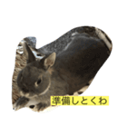 チョミナガ（個別スタンプ：6）