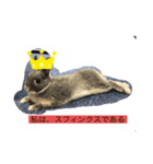 チョミナガ（個別スタンプ：11）
