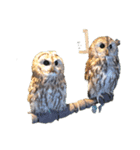 大好きなフクロウスタンプ（個別スタンプ：5）