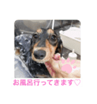萌衣ちゃんねる（個別スタンプ：1）