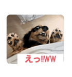 萌衣ちゃんねる（個別スタンプ：2）