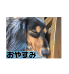 萌衣ちゃんねる（個別スタンプ：3）