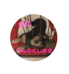 萌衣ちゃんねる（個別スタンプ：6）