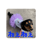 萌衣ちゃんねる（個別スタンプ：8）