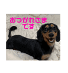 萌衣ちゃんねる（個別スタンプ：9）