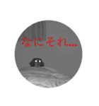 萌衣ちゃんねる（個別スタンプ：12）
