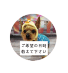 トリミング挨拶（個別スタンプ：2）