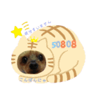トリミング挨拶（個別スタンプ：24）
