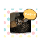 メイたん スタンプ（個別スタンプ：3）