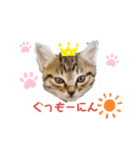 メイたん スタンプ（個別スタンプ：5）