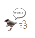 とんとことんとこ（個別スタンプ：2）