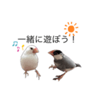 とんとことんとこ（個別スタンプ：3）