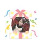 いーたんマンだぉ（個別スタンプ：7）