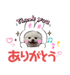 ポメコロちゃん 4（個別スタンプ：6）