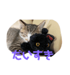 子猫の蛍スタンプ（個別スタンプ：7）