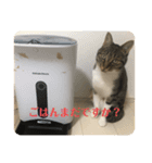いとさんスタンプpart1（個別スタンプ：2）