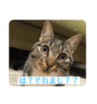 いとさんスタンプpart1（個別スタンプ：6）