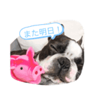はる大集合！（個別スタンプ：8）