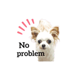 なっつ♡ぴのんコラボスタンプEnglish ver.（個別スタンプ：3）