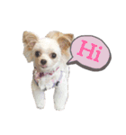 なっつ♡ぴのんコラボスタンプEnglish ver.（個別スタンプ：5）