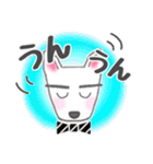 犬のSky 君☆お祝い＆日常スタンプ（個別スタンプ：19）