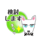 犬のSky 君☆お祝い＆日常スタンプ（個別スタンプ：20）