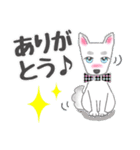 犬のSky 君☆お祝い＆日常スタンプ（個別スタンプ：26）