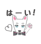 犬のSky 君☆お祝い＆日常スタンプ（個別スタンプ：31）