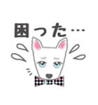 犬のSky 君☆お祝い＆日常スタンプ（個別スタンプ：34）