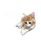 もふもふノアちゃん（個別スタンプ：10）