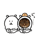 こってぃーとりーちゃんの尊いスタンプ（個別スタンプ：5）
