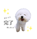 うにーにpart2（個別スタンプ：3）
