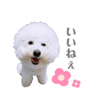 うにーにpart2（個別スタンプ：4）