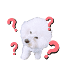 うにーにpart2（個別スタンプ：5）